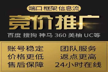 SEM投放策略：成功案例解析